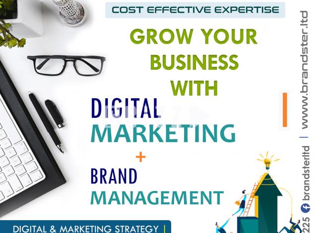 Digital Marketing & Brand Manage...